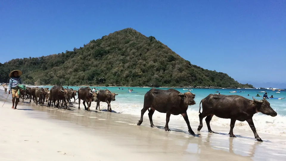 Pasangan sedang berpose di Air Terjun Tiu Kelep Senaru dalam Paket Honeymoon Lombok Romantis Lombok Travelmate