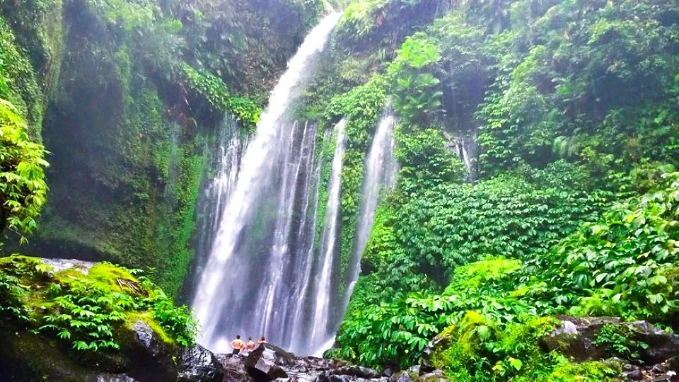 Air terjun di tengah hutan Senaru, Lombok Utara